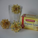 Ingwer lemon